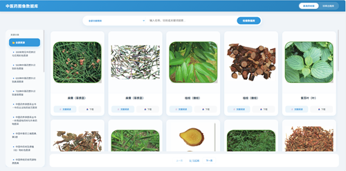 舌诊智能识别系统